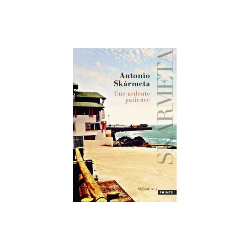 Une ardente patience