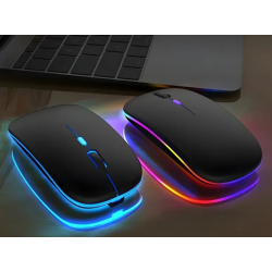 Souris sans fil